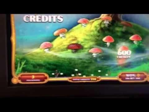 $655 kasinový čip v Emu Casino